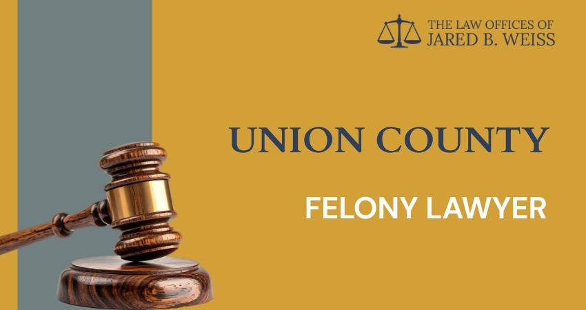 best union county felony lawyer